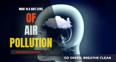 Air Pollution: What's a Safe Level?