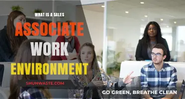 Exploring the Dynamic Work Environment of a Sales Associate