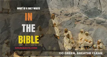 Biblical Salt Waste: Understanding Its Symbolic Meaning and Significance