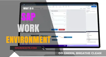 Understanding the SAP Work Environment: Features, Benefits, and Best Practices
