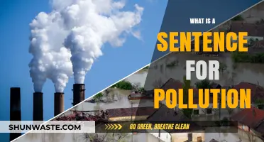 Understanding Pollution: A Sentence Explains It All