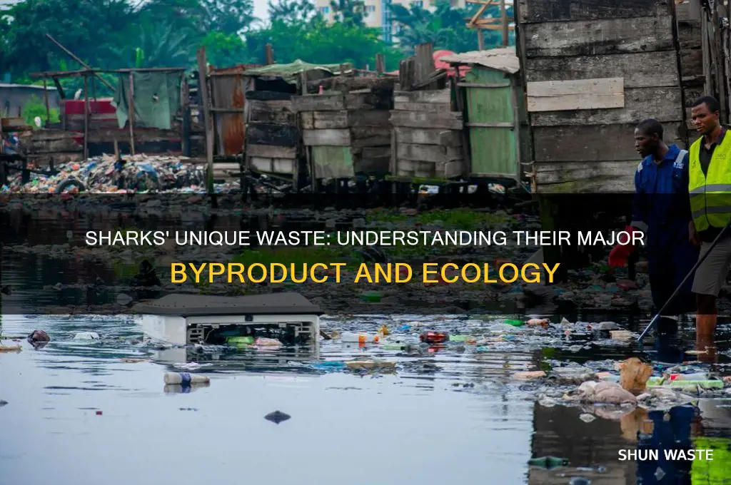 what is a sharks major waste product