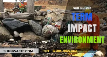 Understanding Short-Term Environmental Impacts: Causes, Effects, and Solutions