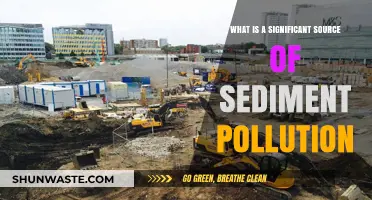 Sediment Pollution: A Troubling Trail of Toxic Troubles