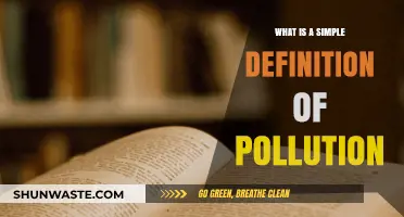 Understanding Pollution: A Simple Definition and Its Impact
