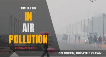 Air Pollution Sinks: What Are They?