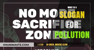 Fight Pollution: Slogans for a Cleaner Tomorrow