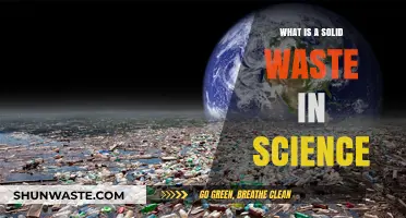 Understanding Solid Waste: Definition, Types, and Scientific Significance