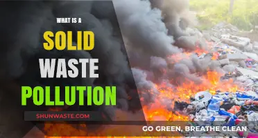 Waste Pollution: Understanding Solid Waste's Impact
