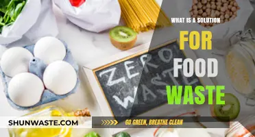 Sustainable Solutions: Tackling Food Waste for a Greener Future