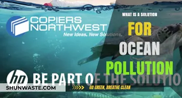Ocean Pollution: Solutions for a Cleaner Future