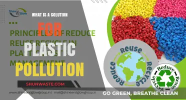 Innovative Solutions to Combat Plastic Pollution