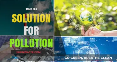 Green Revolution: Solutions to Pollution