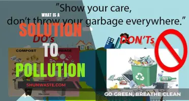 Green Revolution: Solving Pollution Crisis
