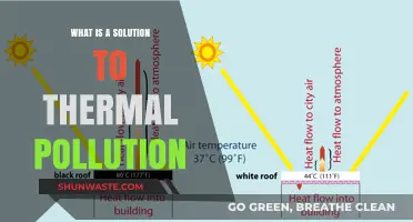 Cooling Down: Solutions to Thermal Pollution