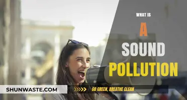 Sound Pollution: Understanding the Unheard