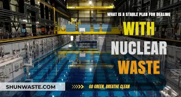 Safe and Sustainable: A Comprehensive Strategy for Nuclear Waste Management