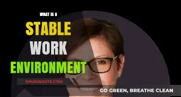 Creating a Stable Work Environment: Key Factors for Success and Growth
