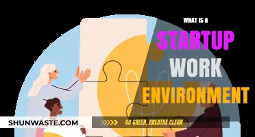 Exploring the Dynamic and Fast-Paced Startup Work Environment Culture