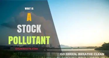 Understanding Stock Pollutants: What Are They?