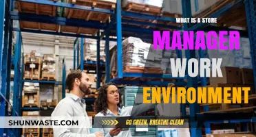 Exploring the Dynamic Work Environment of a Store Manager