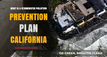 Stormwater Pollution: California's Plan for Prevention