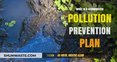 Stormwater Pollution Prevention: Planning for Cleaner Waterways