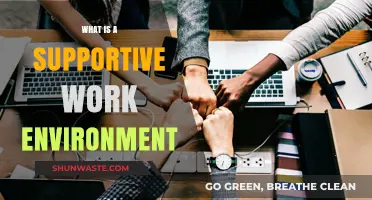 Creating a Supportive Work Environment: Key Elements for Employee Success