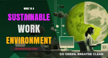 Creating a Sustainable Work Environment: Key Principles for Long-Term Success