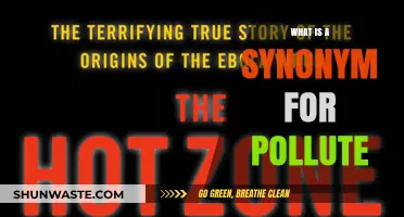 Harmful Effects: Understanding the Synonyms of Pollute