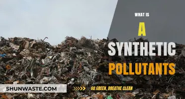 Synthetic Pollutants: Understanding Man-Made Contamination