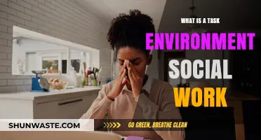 Understanding Task Environment in Social Work: Key Concepts and Applications