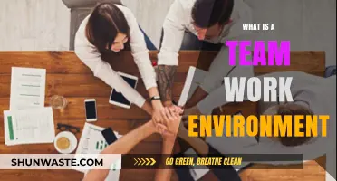 Fostering Collaboration: Understanding the Dynamics of a Team Work Environment