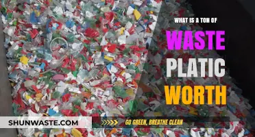Valuing Plastic Waste: How Much is a Ton Really Worth?