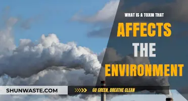 Environmental Toxins: Unseen Threats to Our Planet's Health and Future