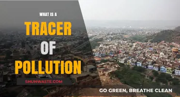 How Pollution Tracers Help Us Understand Our Environment