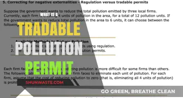 Pollution Permits: Trading for Cleaner Air