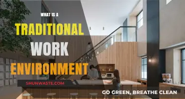 Understanding the Structure and Culture of a Traditional Work Environment