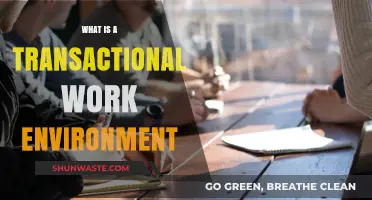 Understanding Transactional Work Environments: Structure, Efficiency, and Employee Dynamics