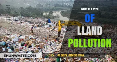 Land Pollution: Types and Their Impact