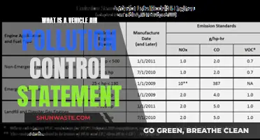 Air Pollution Control Statements: Vehicles and Compliance