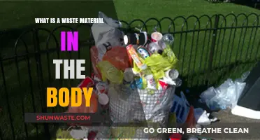 Understanding Waste Materials in the Body: Types, Functions, and Elimination