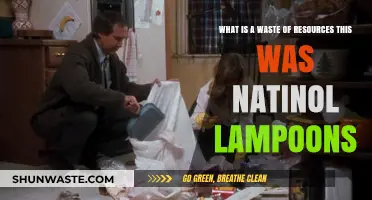 National Lampoon's Resource Waste: A Satirical Misstep in Comedy