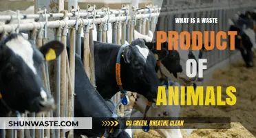 Understanding Animal Waste: Types, Impacts, and Eco-Friendly Management Tips