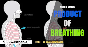 Breathing's Hidden Byproduct: Understanding Carbon Dioxide as a Waste Product