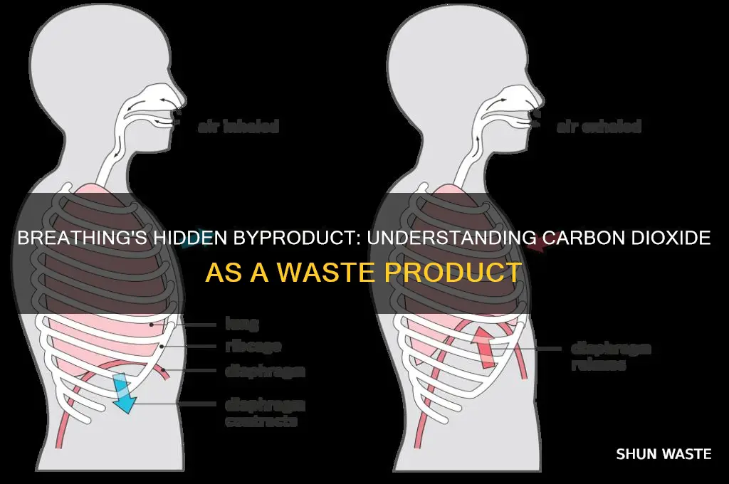 what is a waste product of breathing