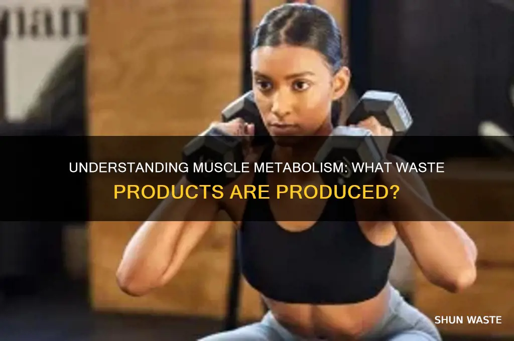 what is a waste product of muscle metabolism