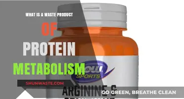 Understanding Urea: The Primary Waste Product of Protein Metabolism