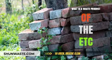 Understanding the Waste Products of the ETC: A Comprehensive Guide