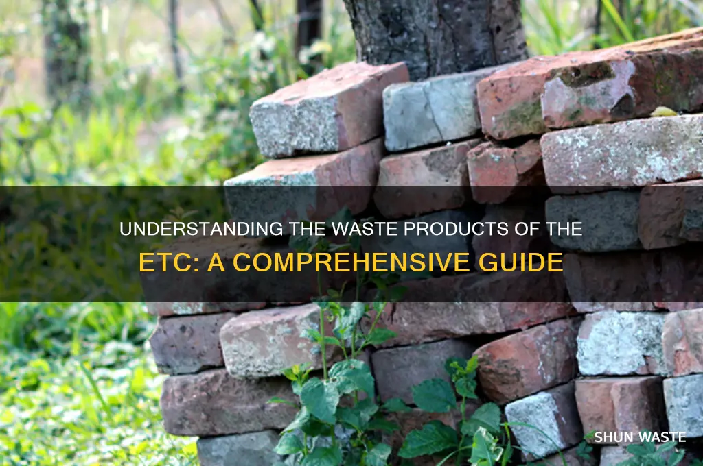 what is a waste product of the etc